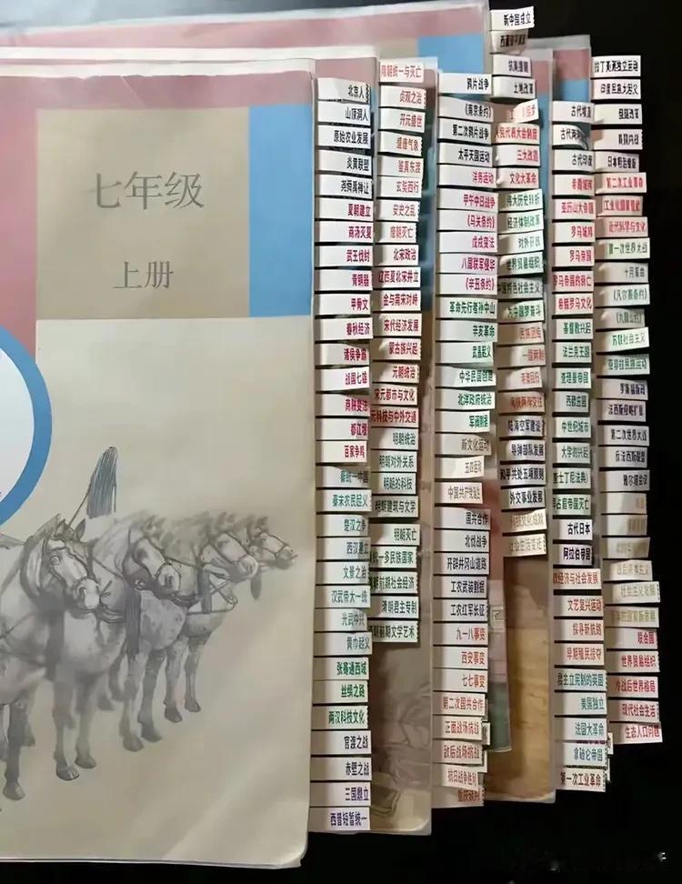 “中国式读书已经这么卷了？！”
