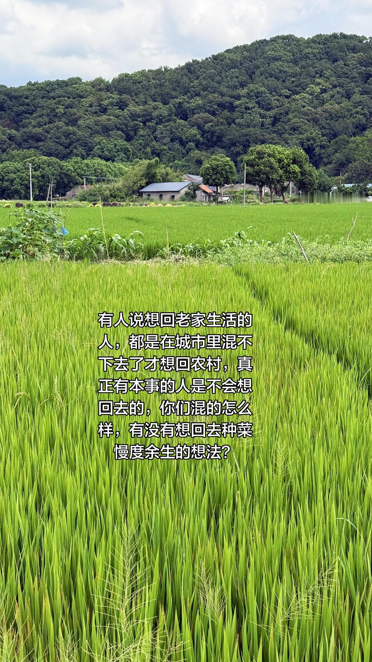 你们有想回家种菜的念头吗？
