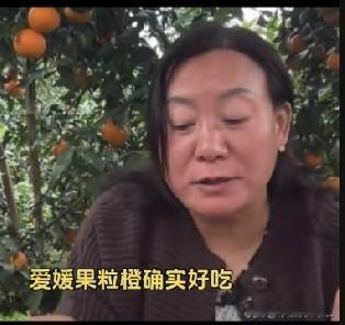 小故事！
     小飞带着 她丈母娘跟着小飞，来到 四川橙子园来卖冰糖红橙，小