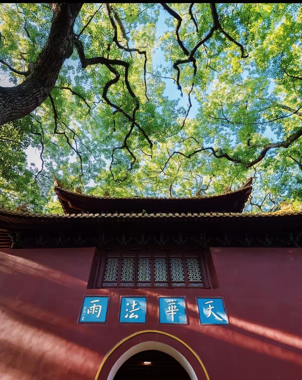 古寺禅房藏杀机！朝夕相处的师兄，竟是藏在身边的日本间谍

谁能想到，清净肃穆的法