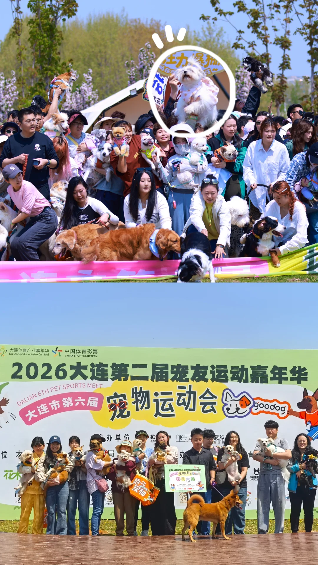 一年一度肆意奔跑🐶｜可以说超幸福了！
