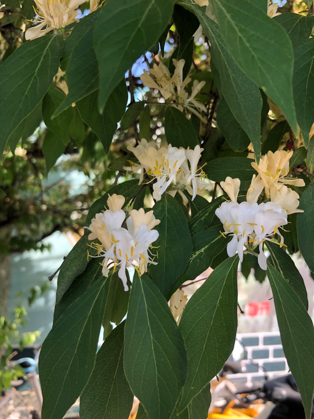 上班路上。 ​​​