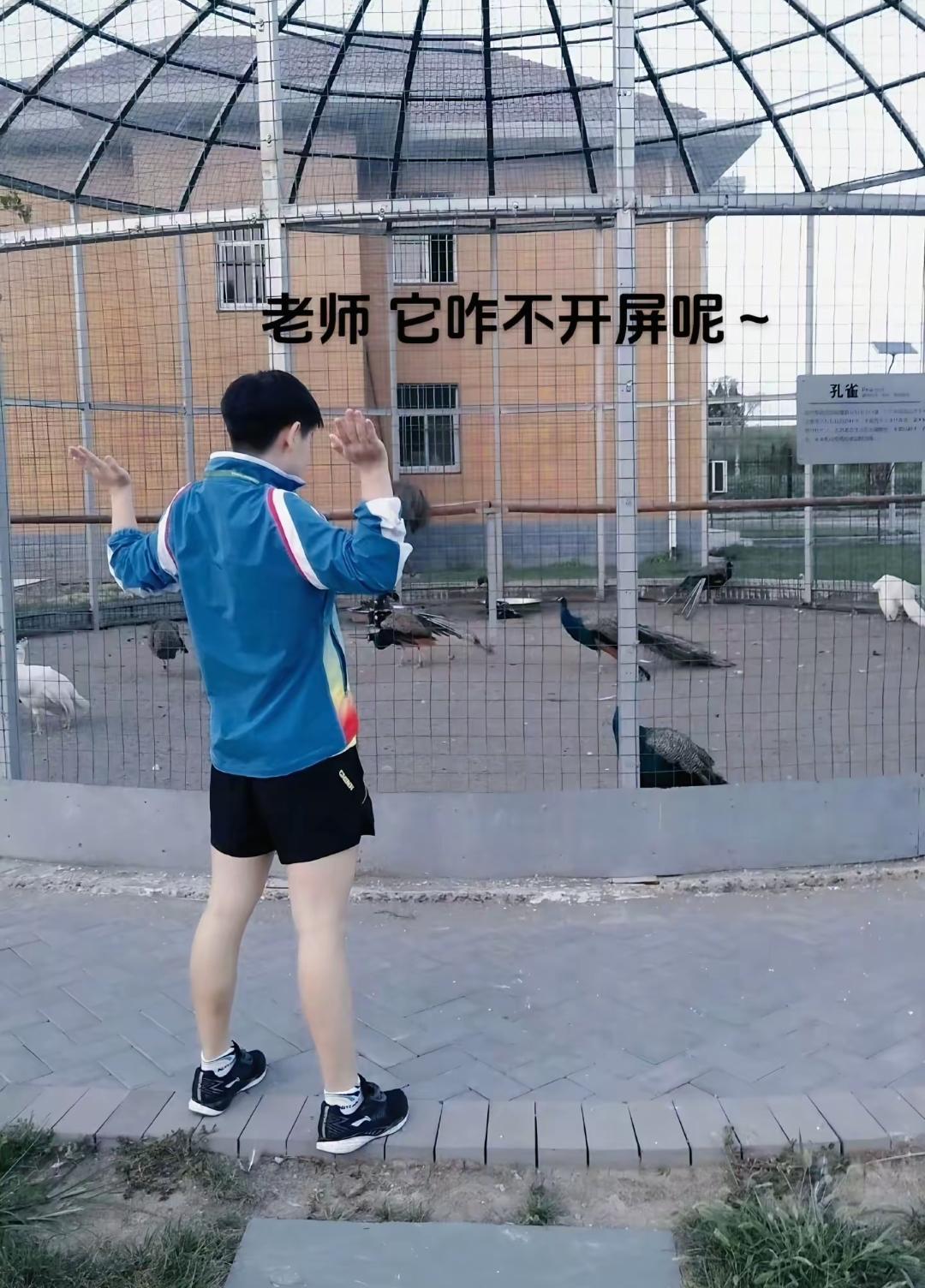怎么不开屏呢。
