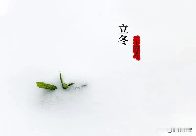今日立冬 
老人常说：
立冬在月中，单衣能过冬。
听着心里就暖融融的，
想来今年