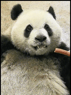 奇三妹在奇墩墩的手机里是什么样子的？av8d，满足一下你们的好奇心，别眨眼，请看