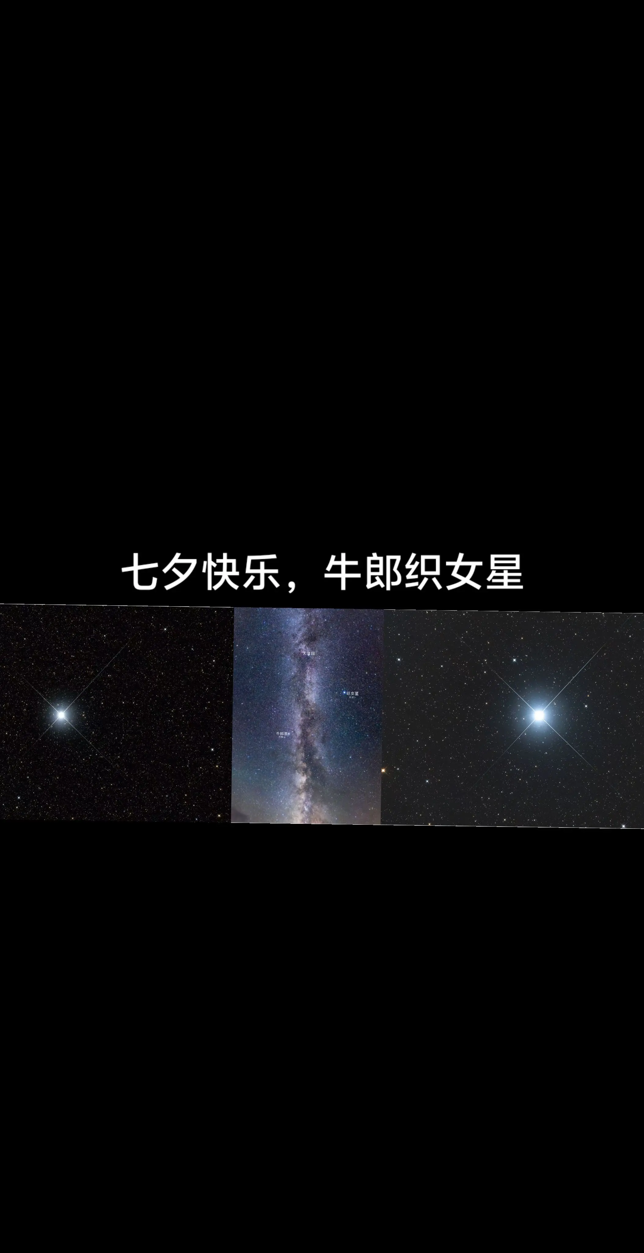 牛郎织女 牛郎星 织女星 七夕 牛郎织女鹊桥会