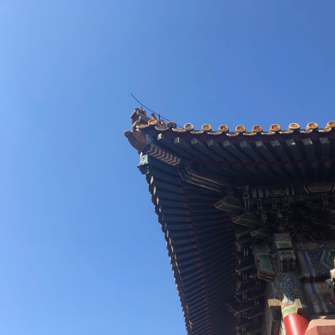 过年真好