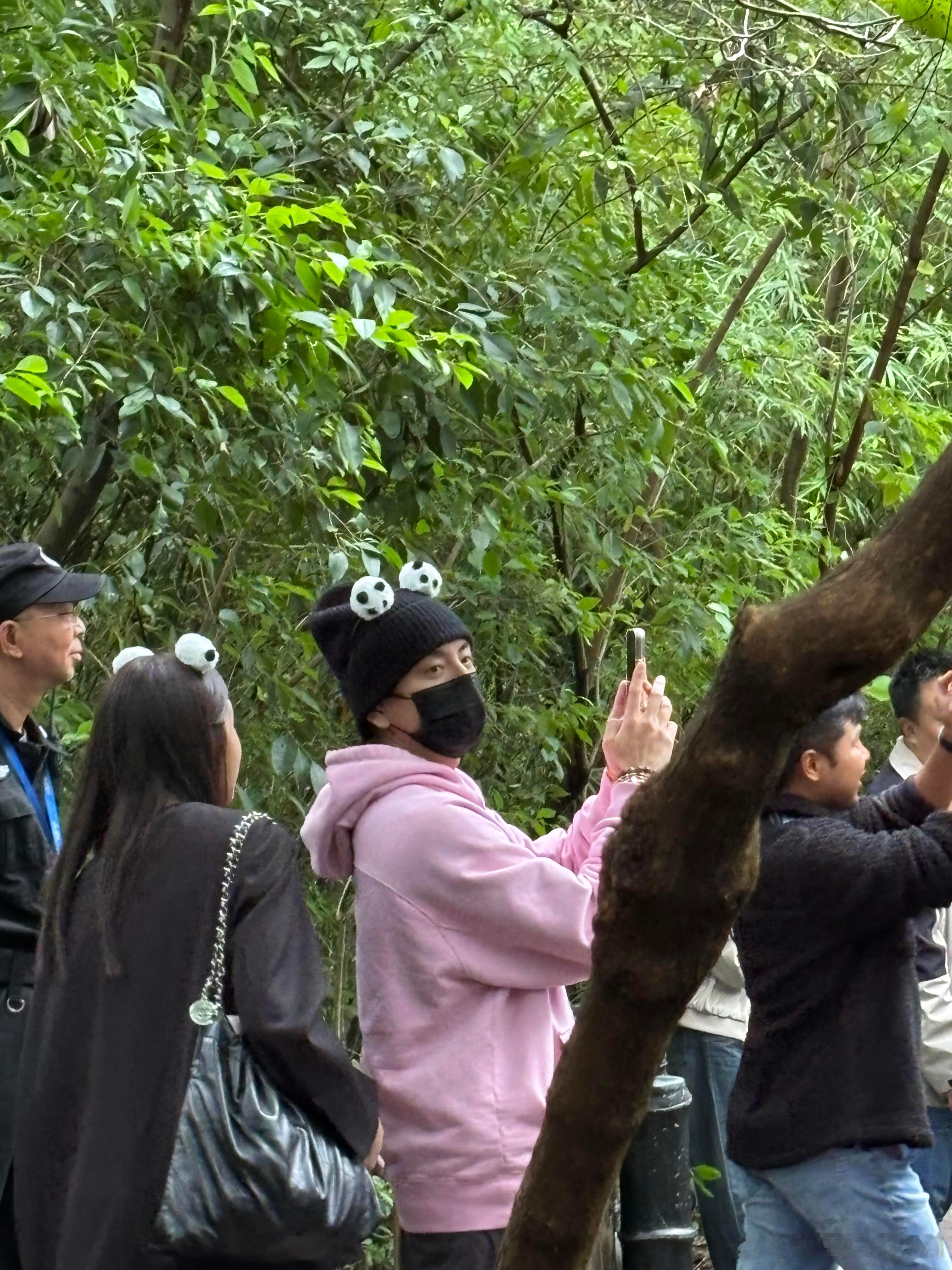 #偶遇王大陆与女友看大熊猫# 有网友偶遇王大陆和女友在成都大熊猫基地游玩，两人还