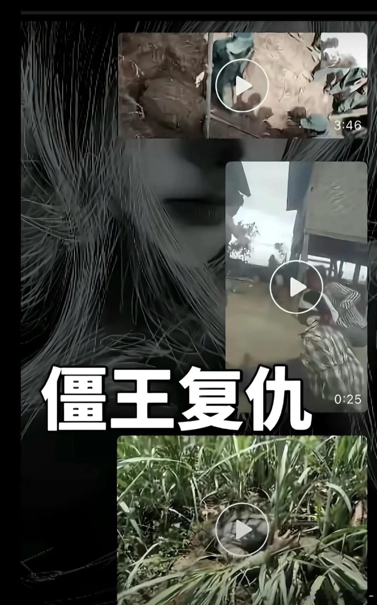 缅甸僵尸王复仇全过程来了，建议做好心理准备观看！⇩⇩⇩缅北僵尸  ​​​
