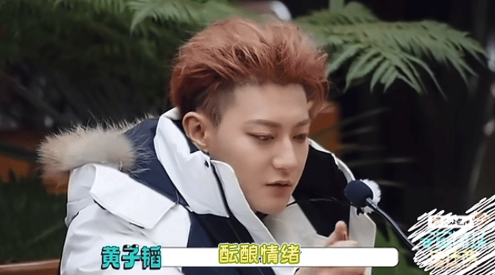 黄子韬遇到王鹤棣可算是遭老罪了黄子韬：王鹤棣！（沈腾怒吼版） 