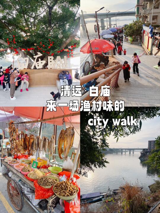 北京到广东小城躺平生活21:漫游白庙渔村