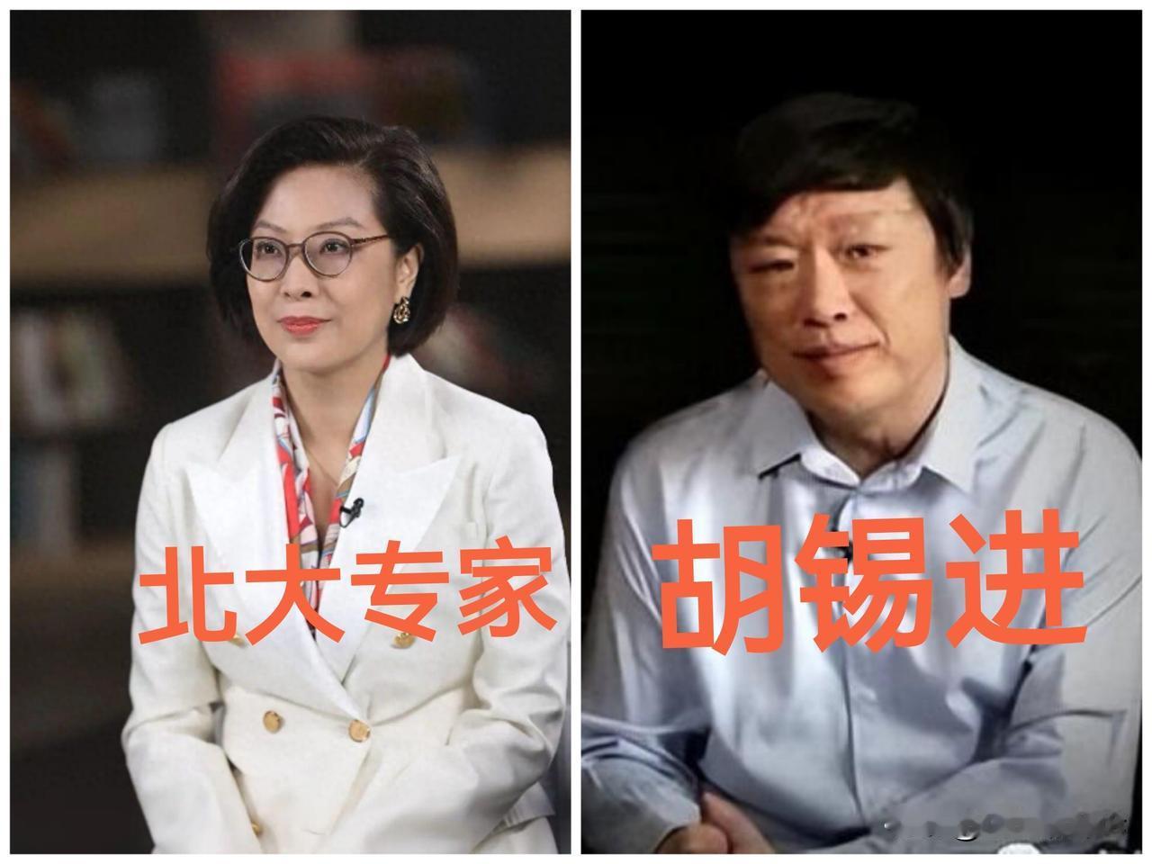 这位北大专家的一句话得罪了不只是那些正在找不到工作的年轻人，还有胡锡进、汤家凤和