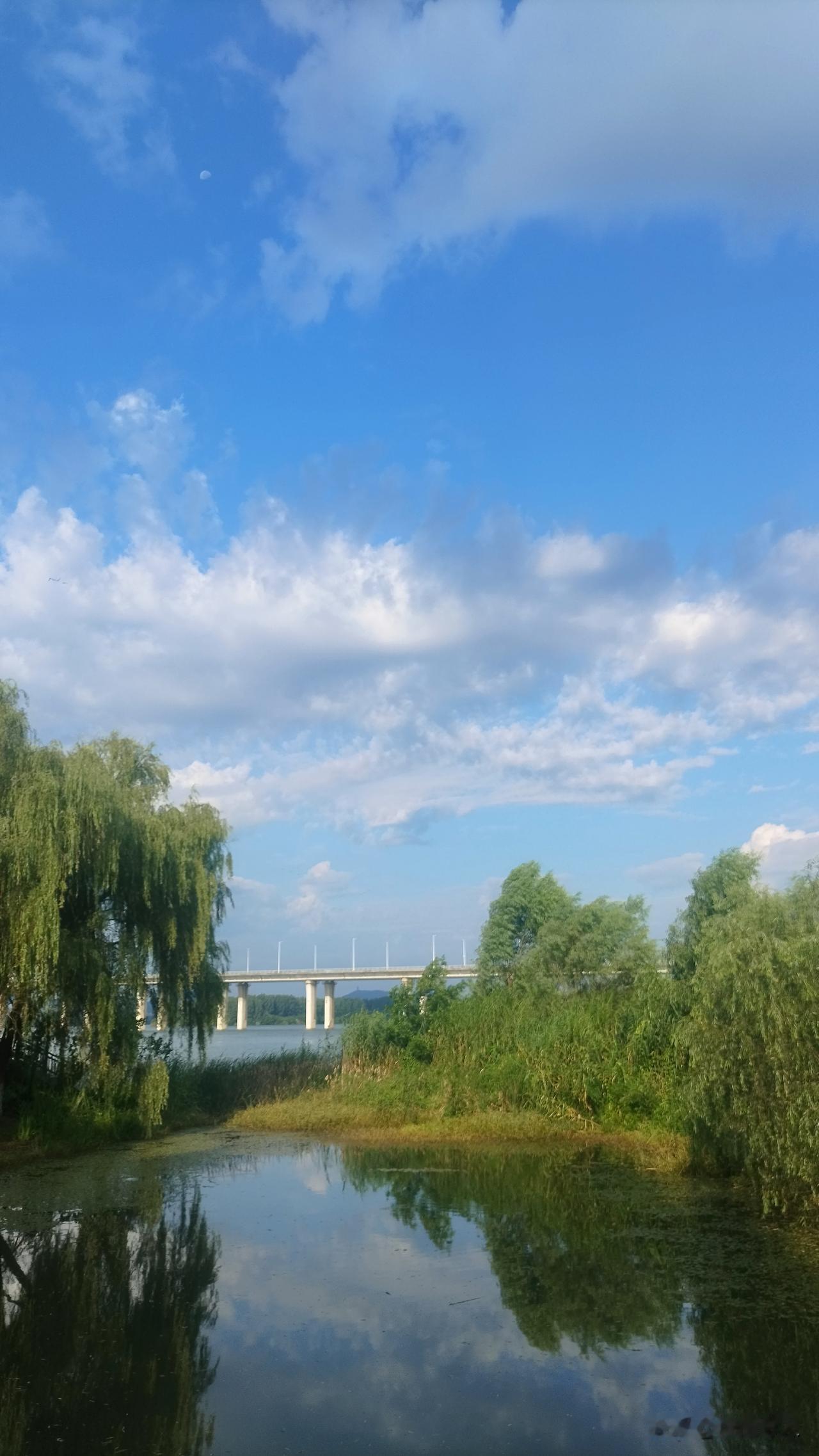 为我的真诚创作点赞！ 👍❤️🔥你也快来发布一条吧！带记录真实生活话题，更容易