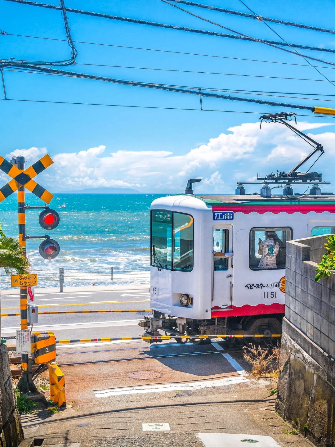 7日轻奢｜镰仓+伊豆+东京哪一个不是夏日绝景