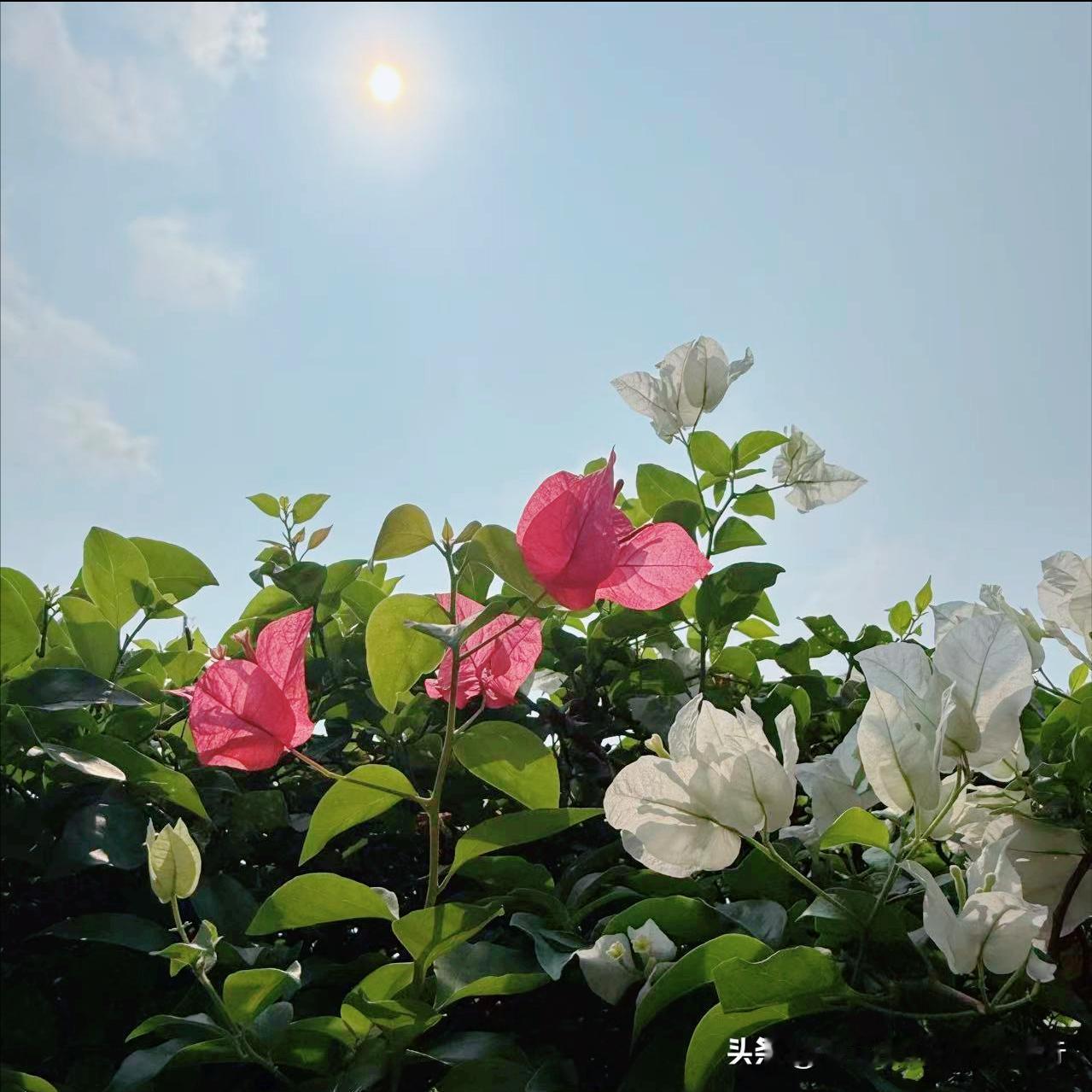 和平区迎来新的政府主要负责同志
 
近日，今年48岁的王旭东履新该区。
 
该同