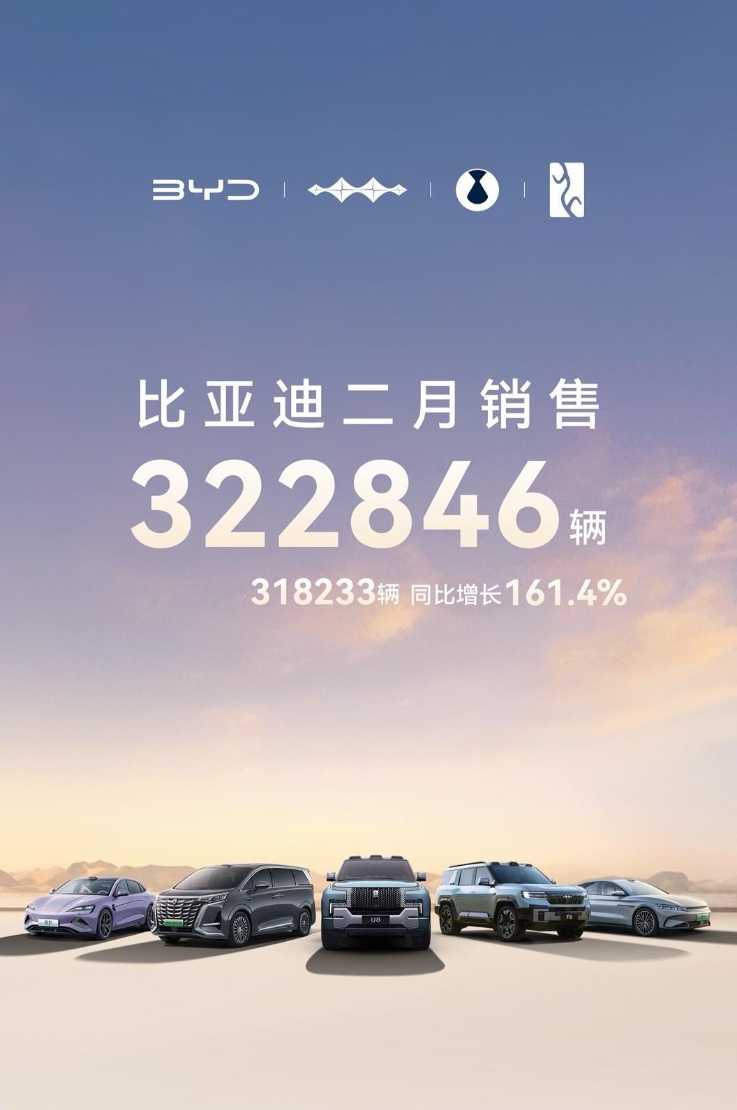 不得了了！比亚迪在2025年2月的销量数据简直逆天，再次展现其“全能销冠”的非凡