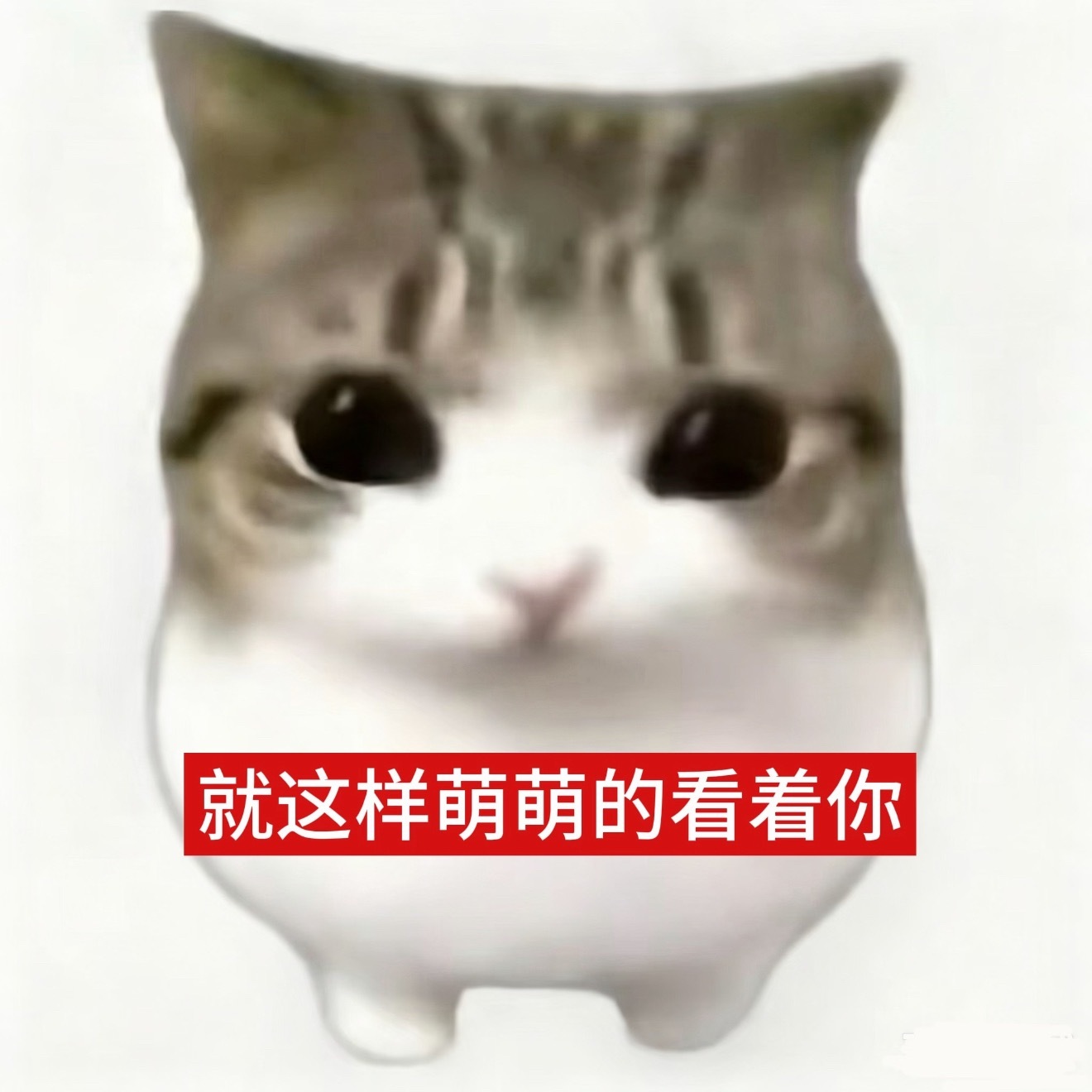 体寒的人夏天能有多离谱我希望我夏天体寒冬天体热春秋体温🤲🏻 