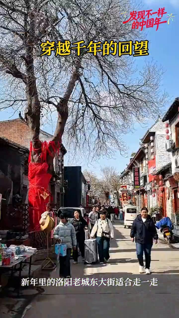 穿越千年的回望，新年里的洛阳老城东大街适合走一走。