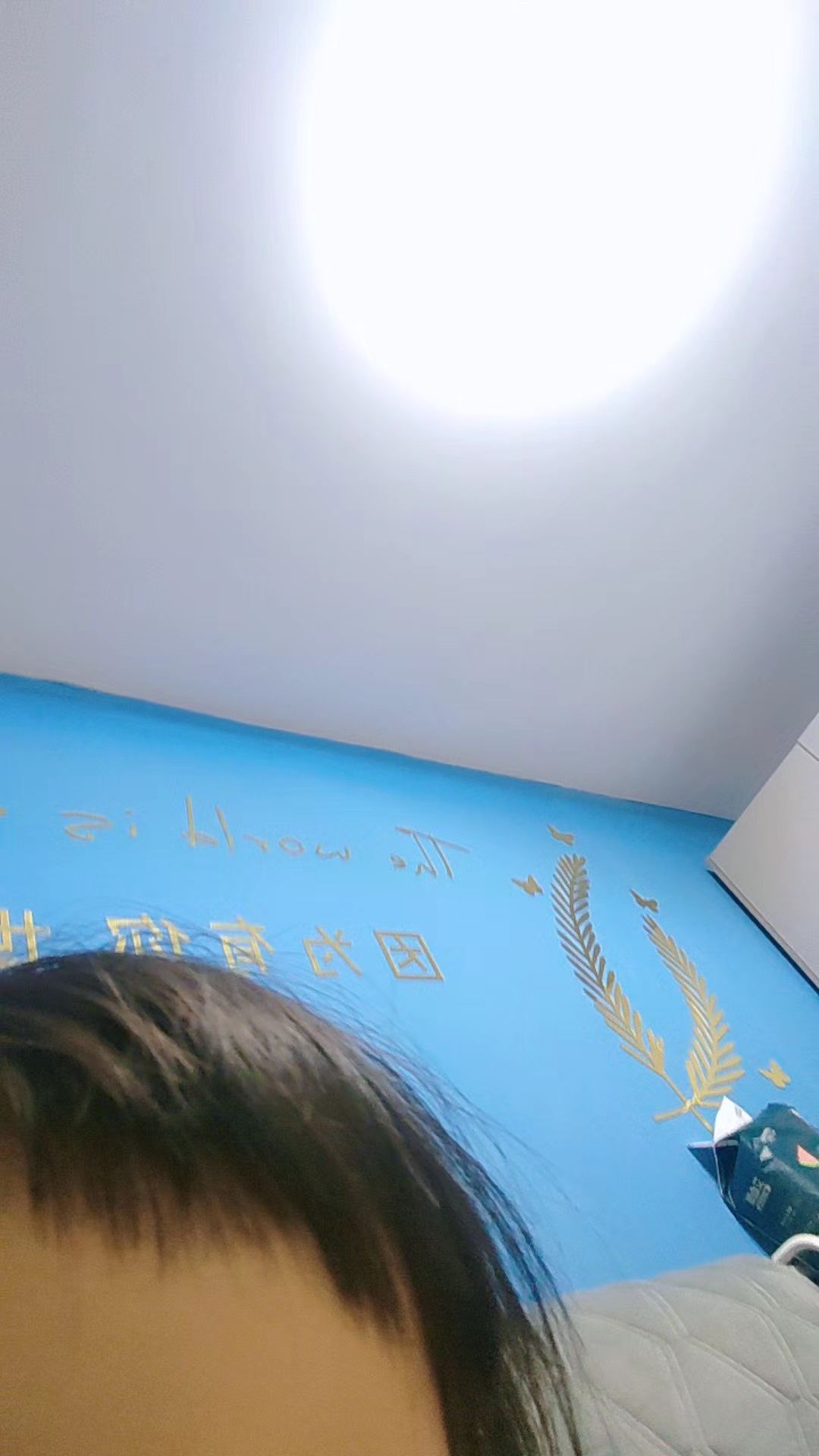 叮咚鸡 世界杯编外啦啦队来了