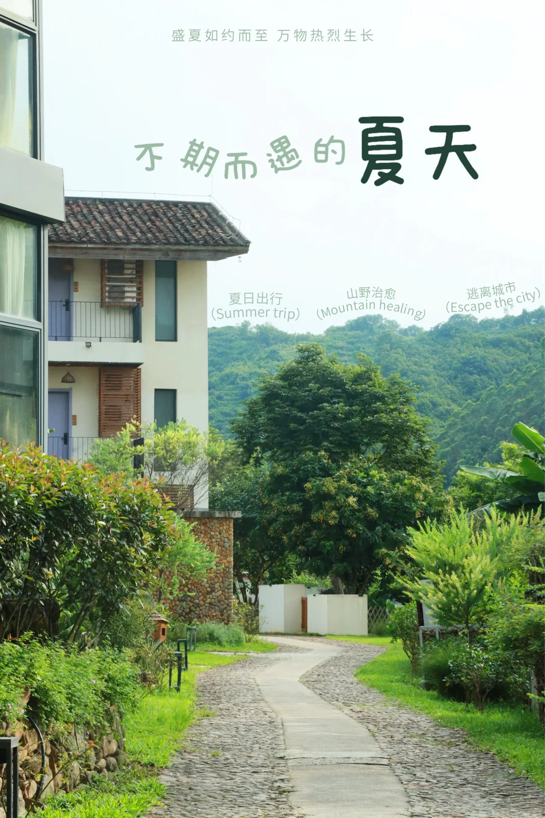 清远staycation｜不期而遇的夏天🍀