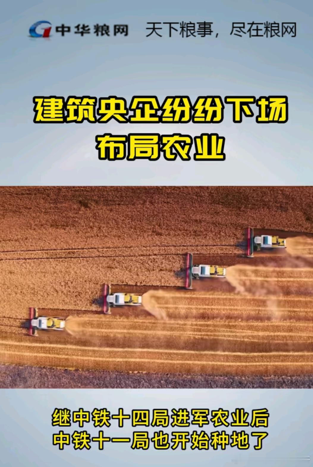 中铁十一局也开始种地了 