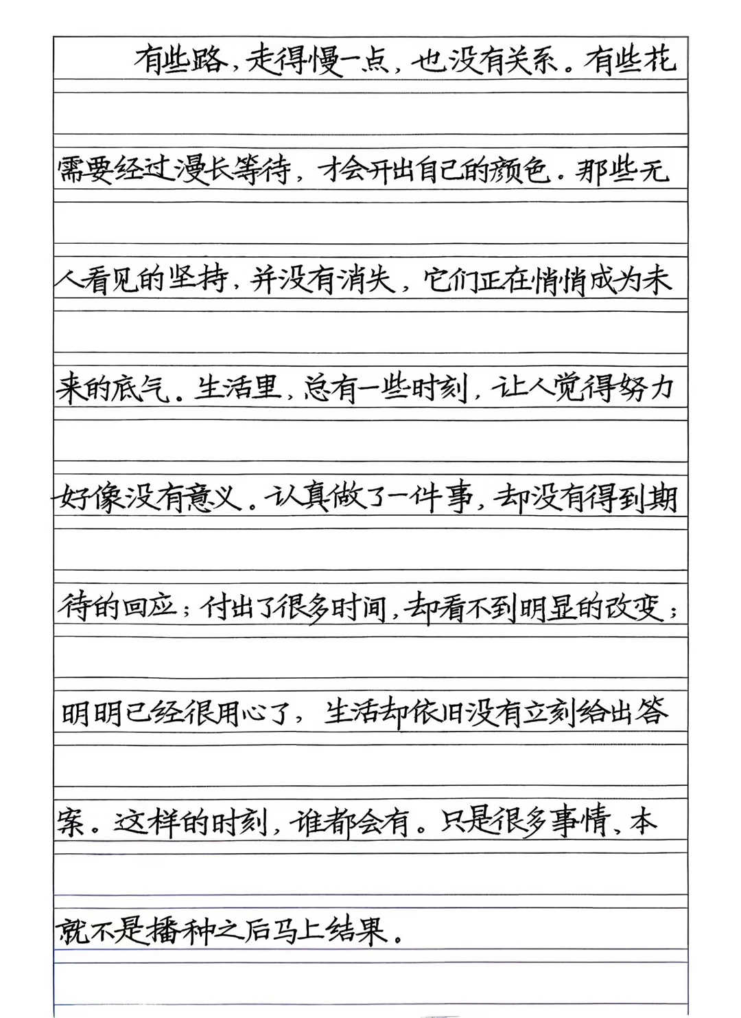 横线格书写注意笔直端正，大小高低排列整齐，追求整体效果。
