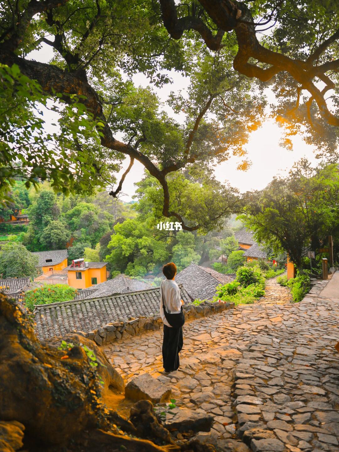 “推荐九个江南被严重低估的古镇”