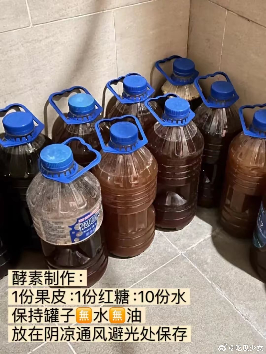#曾黎家里有1500斤自制酵素#曾黎在社交平台上晒出了在自己家里的自制酵素，视频