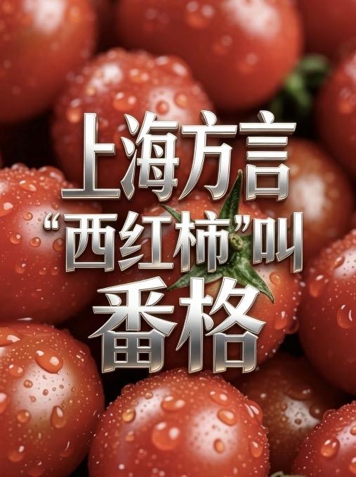 上海言方中

西红柿🍅叫

一一番fe格ga