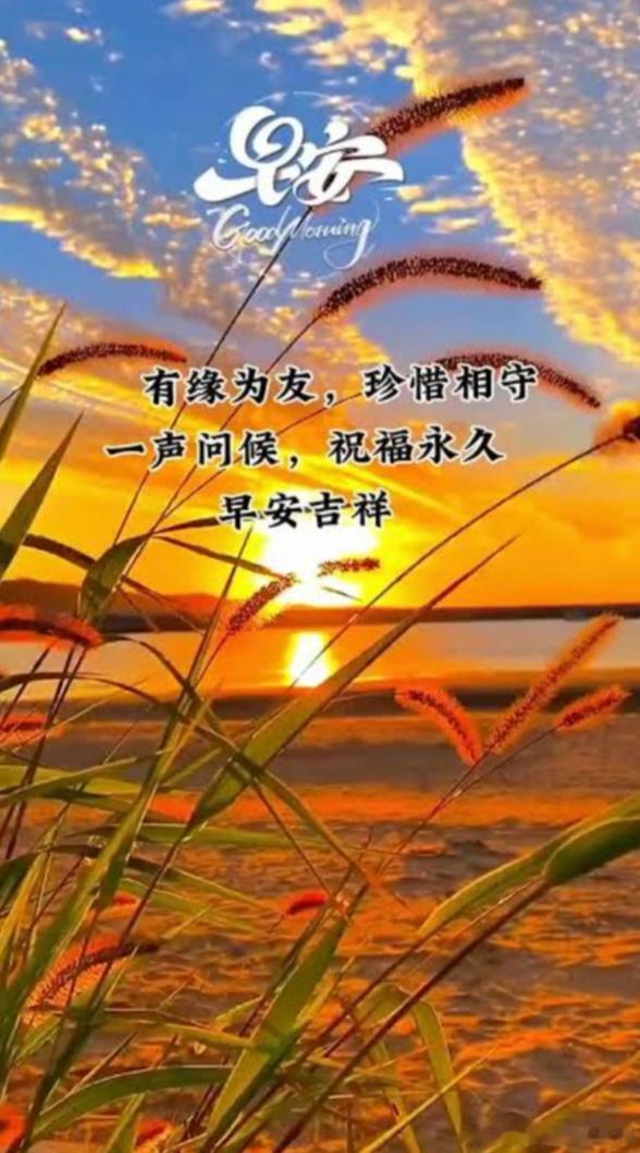 早上好 