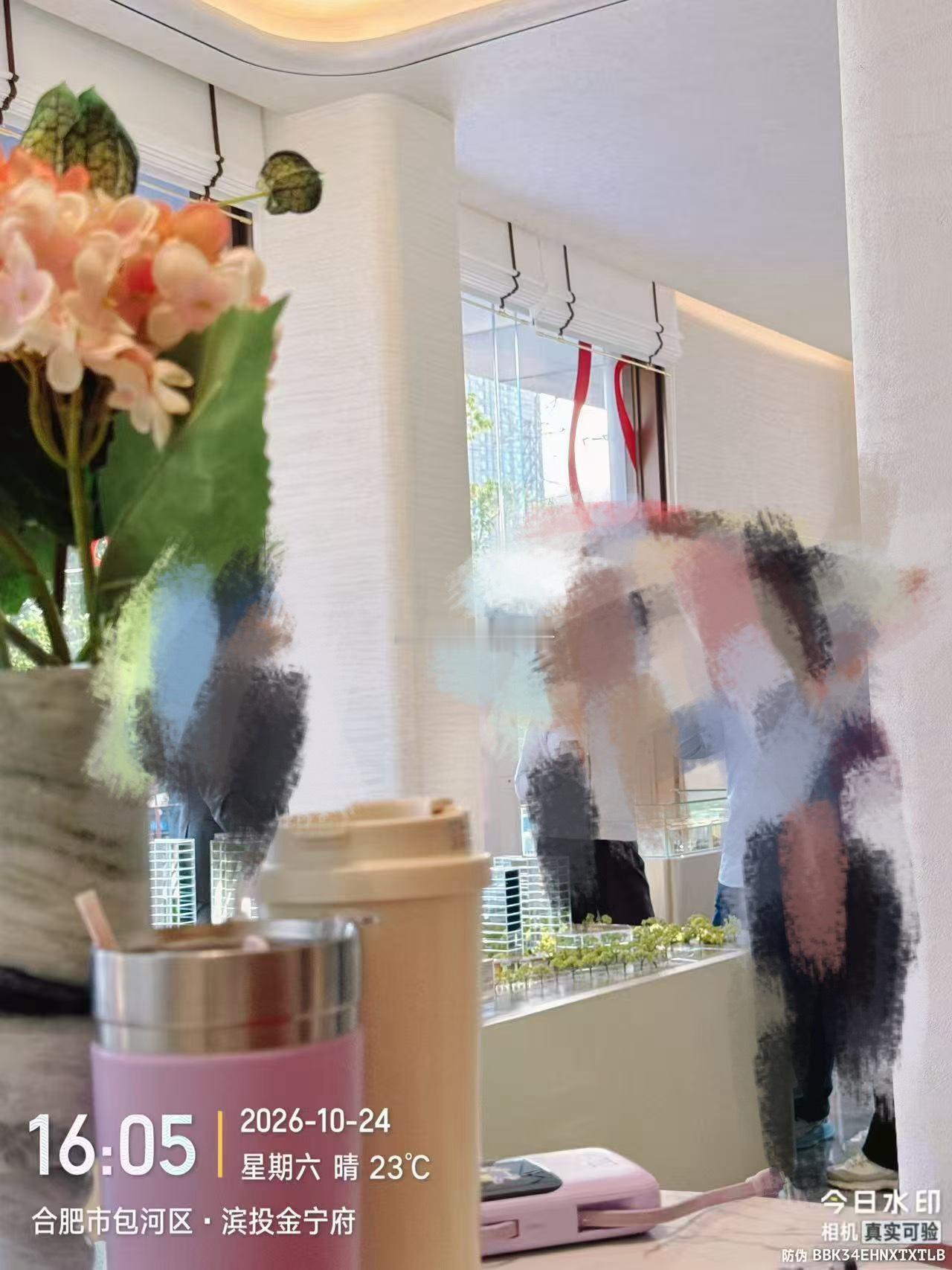 在滨河府出来之前，合肥新房市场的热度就聚焦在金宁府了。房地产合肥身边事合肥楼市合