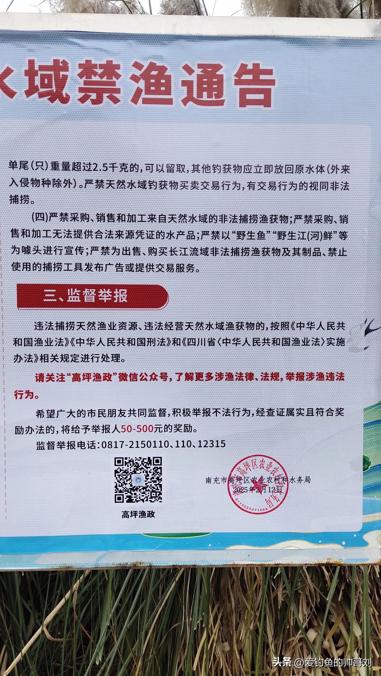 今天才发现，原来举报违法的电鱼，网鱼这些还有奖励