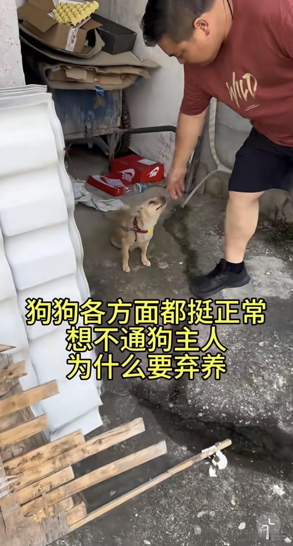 泪目了！这天一位小哥哥去朋友家玩，他们吃饱喝足后就去散步，当他们走到一户人家附近