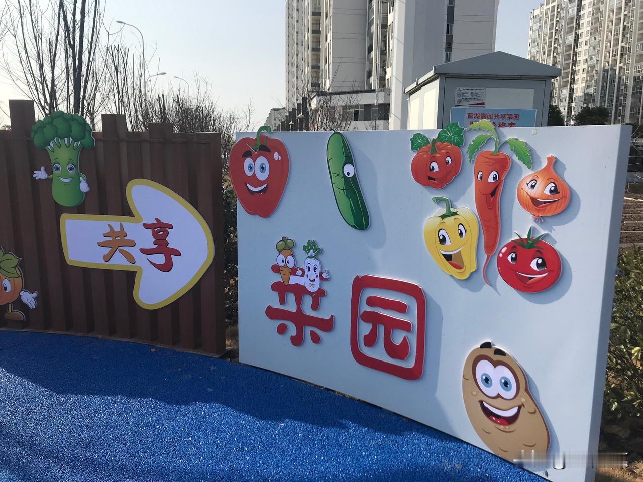 城市小区开发“共享菜园”新模式，被抢购一空
     这是农村包围城市，把农场搬