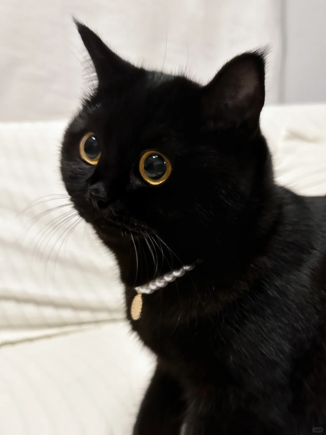 戴珍珠奶茶的少女