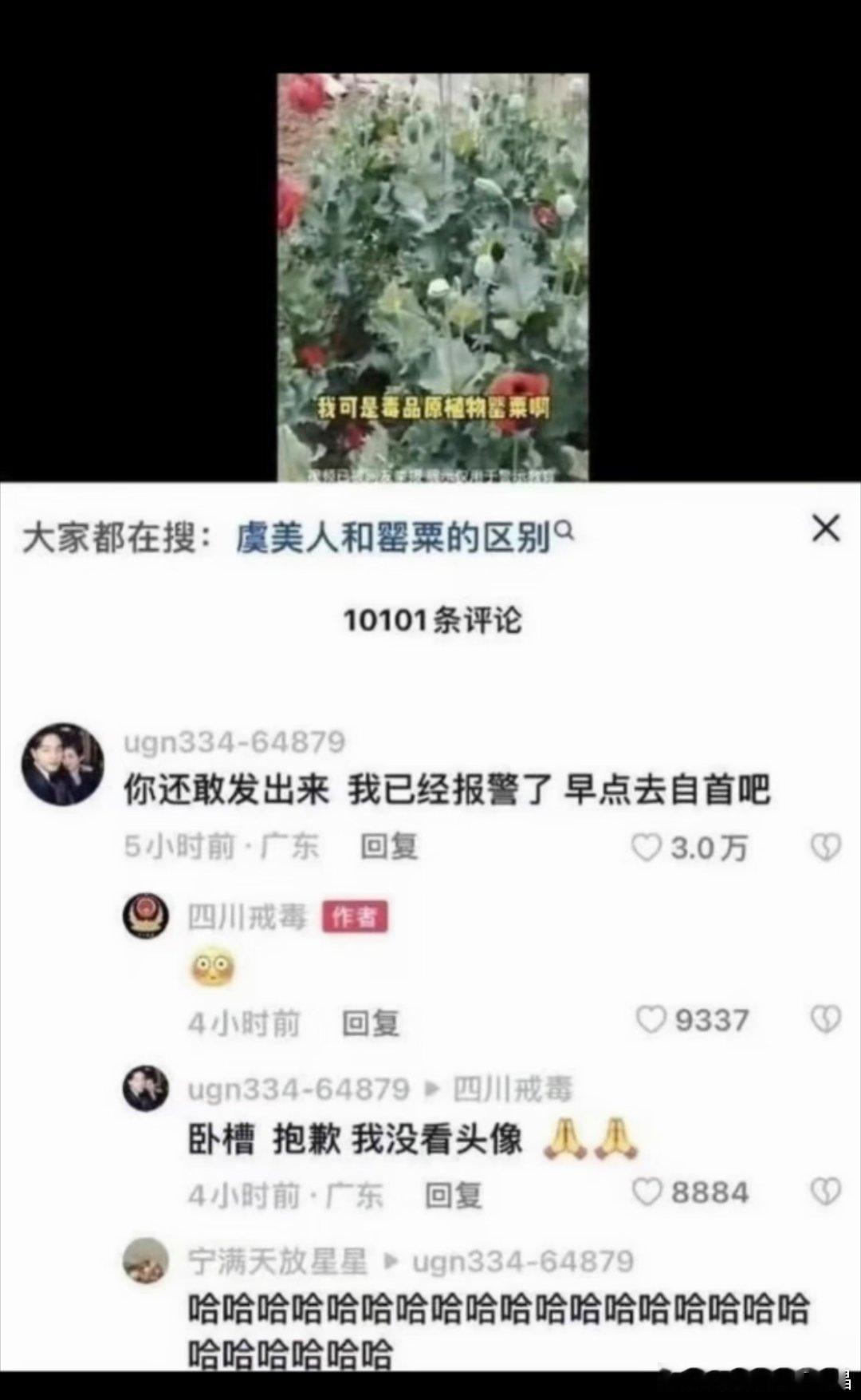 哈哈哈，中国人的禁毒意识真的杠杠滴 