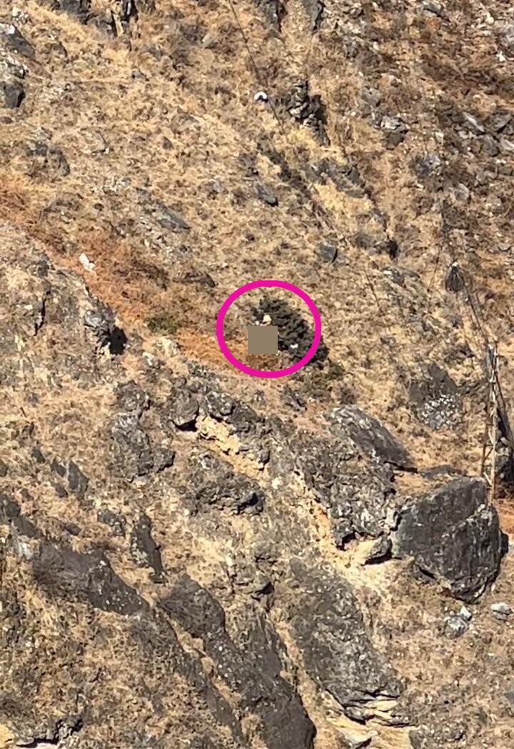 一男童大年初五在虎跳峡坠崖不幸遇难，当地：是和爸爸奶奶一起来