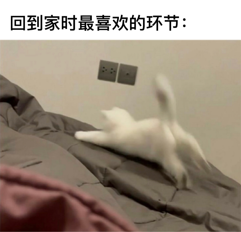 睡了#今日memes# ​​​