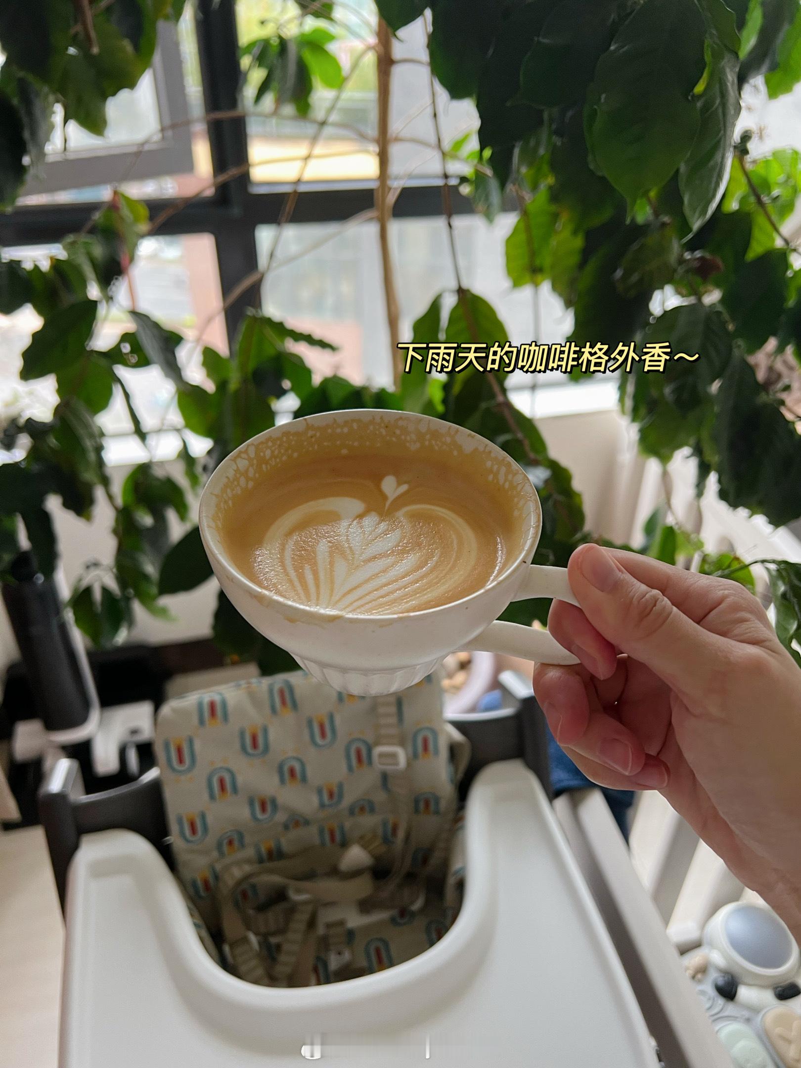 近日日常📷·奇了怪了[思考]我喝了咖啡豆米反而睡得好，不喝那几天硬是不爱睡觉（