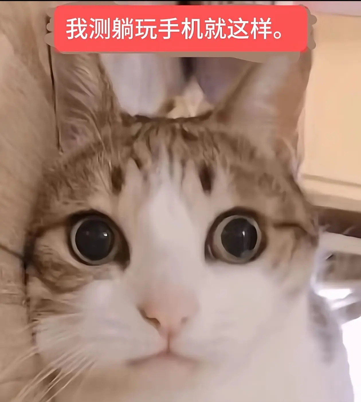 没错 你是个明白人 我明白你明白的意思 我也是明白人 明白人就应该明白...