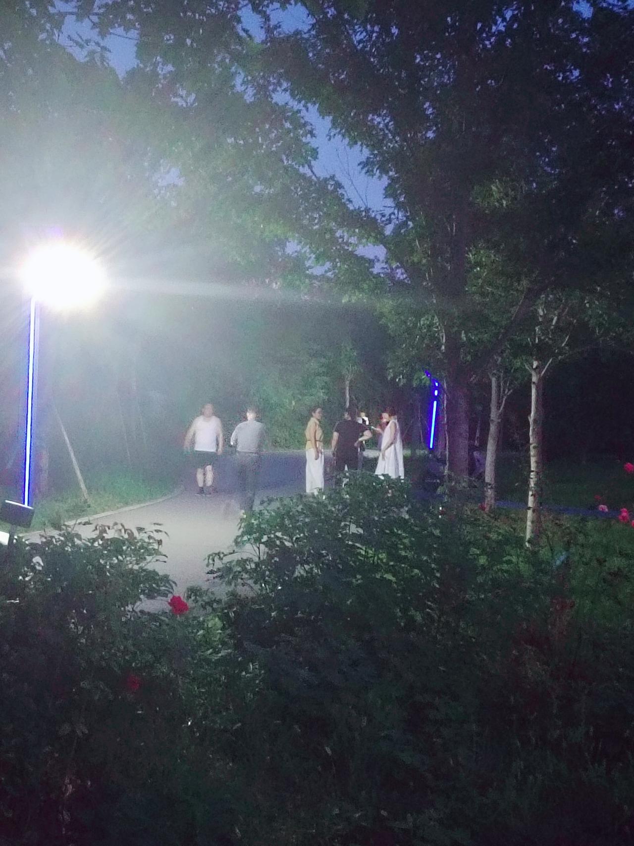 左天晚上吃过晚饭去公园散步，看到晚间的夜色，拿起手机随手拍这美丽的夜晚，记录日常