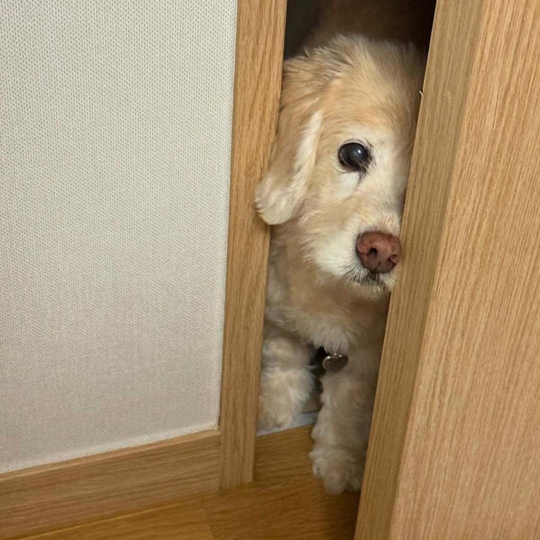 我可以进来和你睡觉觉吗 