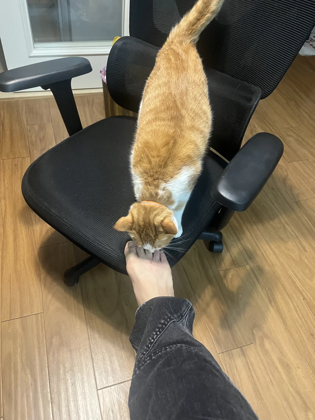 被自家小猫抓了需要打针吗？