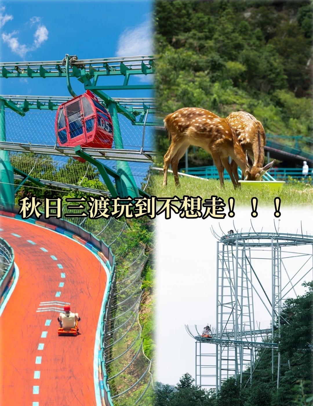秋高气爽宜出游🍂山野乐园全项目测评
秋天户外龙井峡漂流 矿泉水上的过山车 三渡