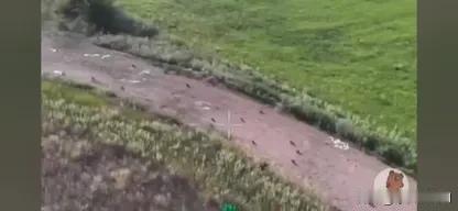 俄罗斯情报官员在路上发现了100架乌克兰武装部队的无人机。但他们只等着自己的死亡