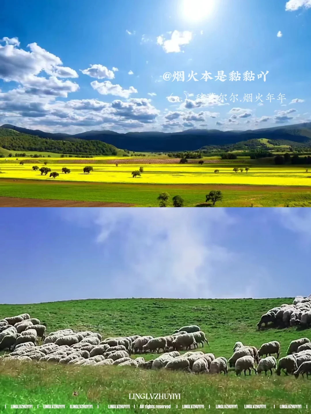 2024暑假自驾游丨承德丰宁坝上草原攻略