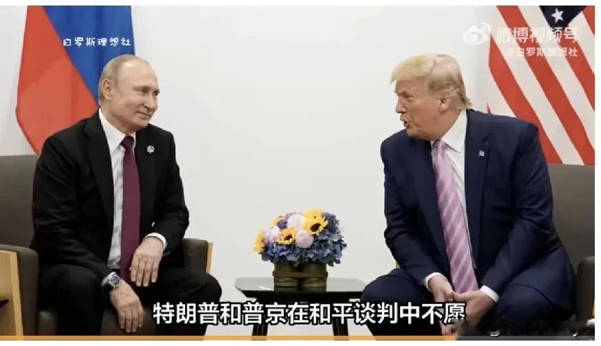 特朗普称解决乌克兰冲突有进展，正与俄乌交涉。美国暂停制定乌克兰和平计划，将考虑欧