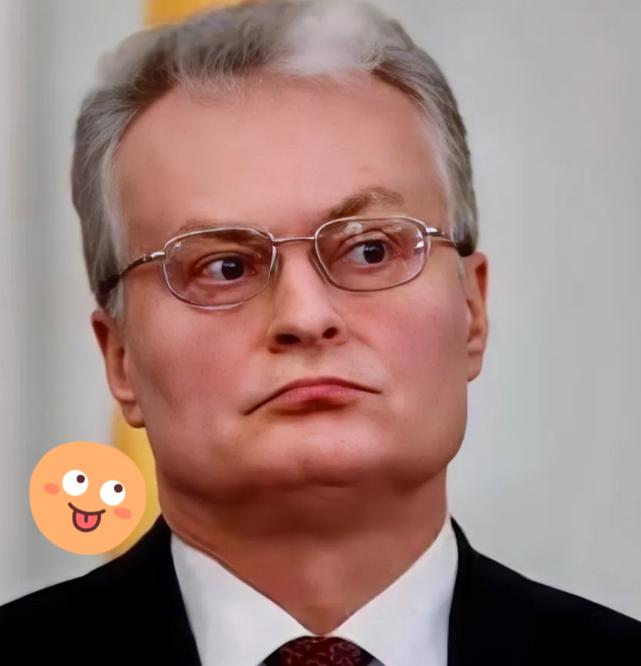 好家伙，立陶宛这戏演得可以啊！
就刚刚，他们嚷嚷着俄罗斯军机“侵犯”领空了。
