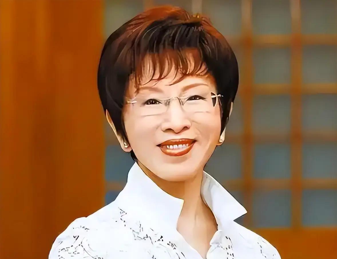 一个人对抗一座岛的压力，洪秀柱在杭州喊出那声‘等不及了’，扛的是整个时代的重量。