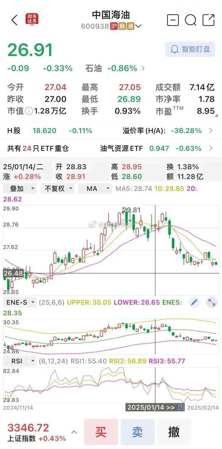 这几天持仓股中国海油600938的换手率都在1以下，窄幅震荡，增加了做T的难度，